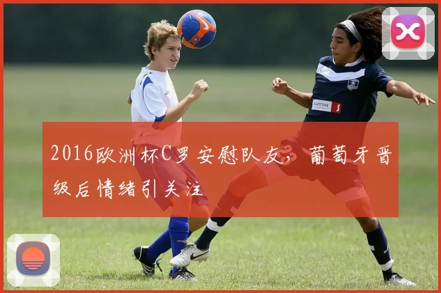 2016欧洲杯C罗安慰队友,葡萄牙晋级后情绪引关注