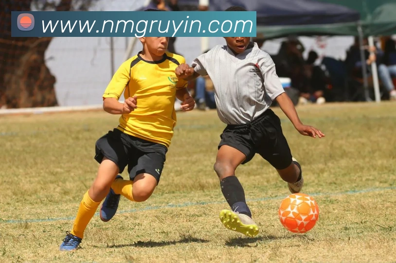 App Interface Preview